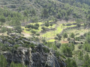 IMG_5037 (Medium)